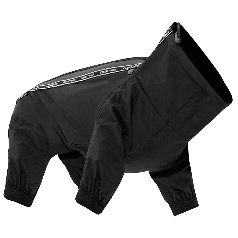 Black Dog Raincoat